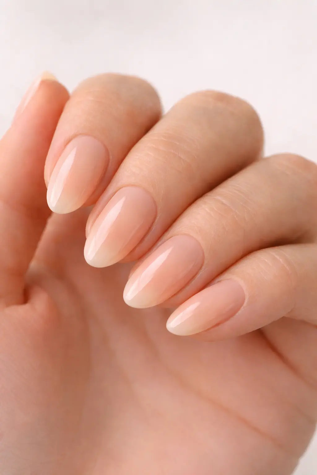 Oval Press-On Nails